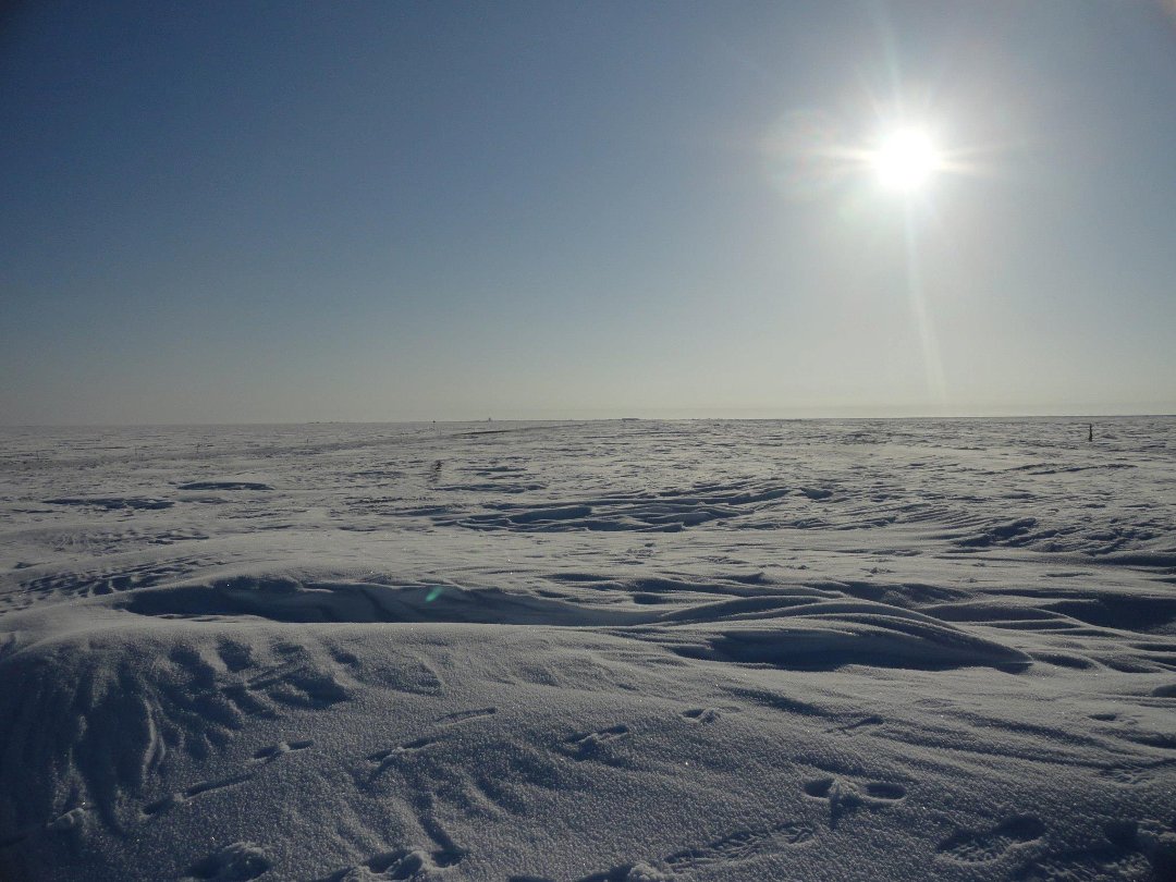 Mark Anaruk's album, Barrow Visit