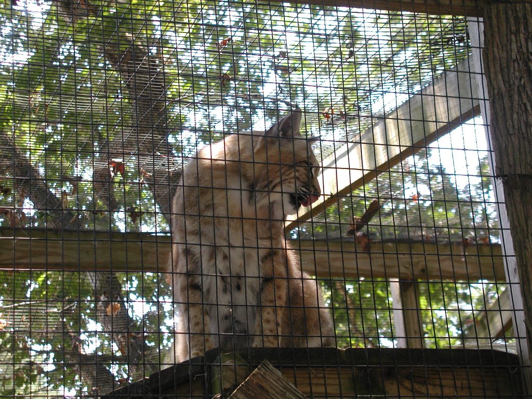 daniel dixon's album, Ponderosa Campground/Cape May Zoo