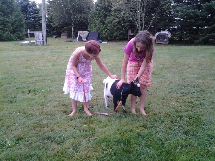 Bev Prestay's album, Mobile Uploads