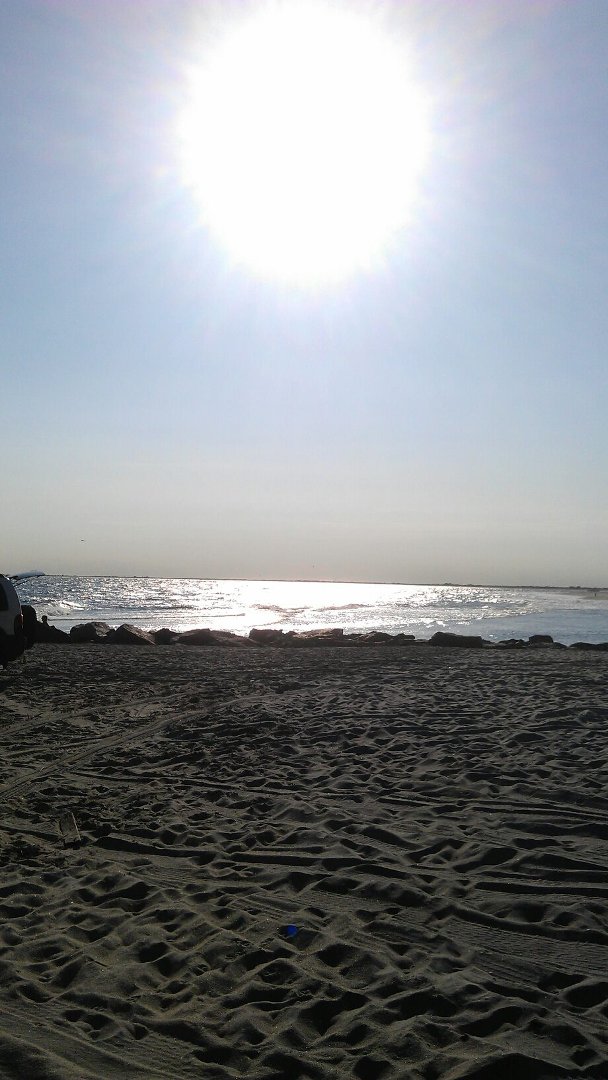 Susan Blasio's album, Mobile Uploads