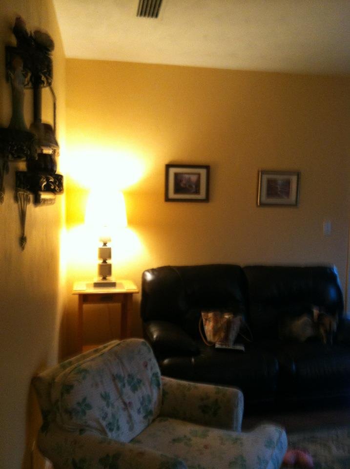 Kareen Adley's album, Mobile Uploads