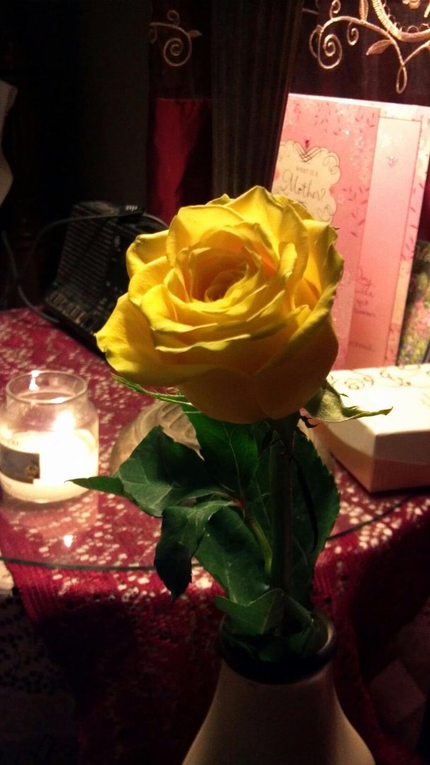 Kathy Case's album, Mobile Uploads
