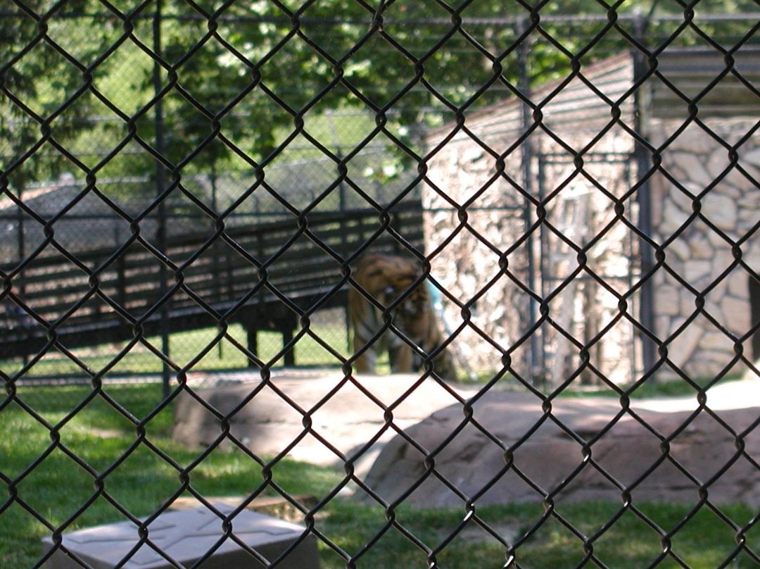 daniel dixon's album, Ponderosa Campground/Cape May Zoo
