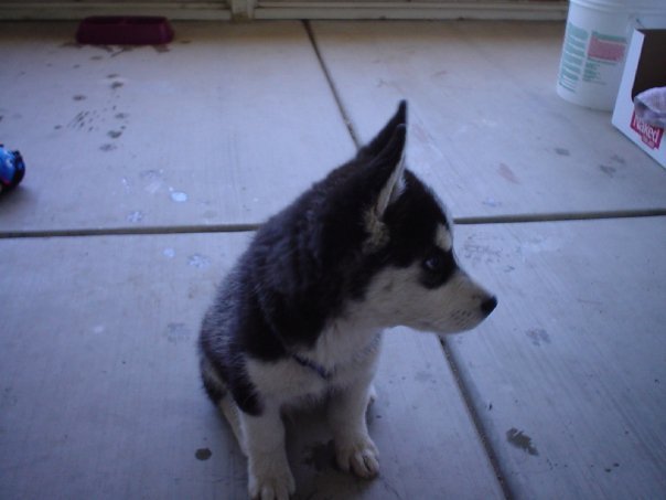 Kevin Jordan's album, Buddy