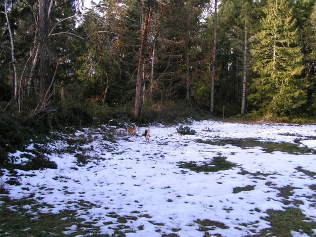 Sharon Worthington's album, Winter of 2012