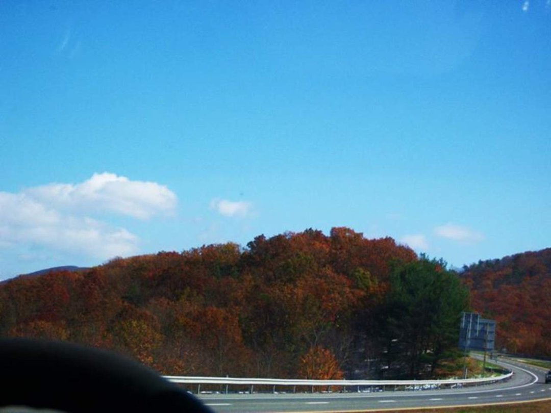 Bette Smith's album, Cover Photos