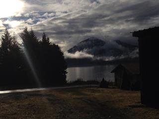 Ian Steed's album, iOS Photos
