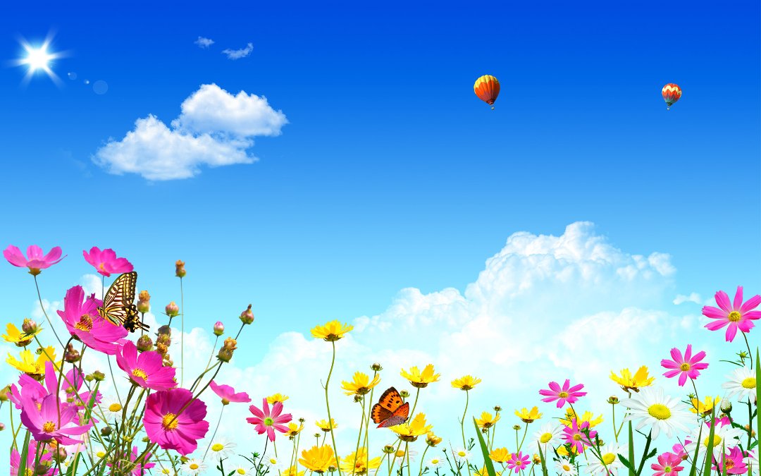 Connie Davidson's album, Cover Photos