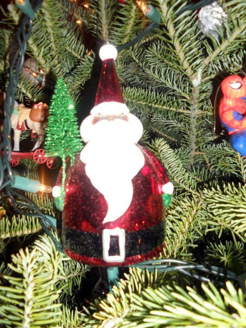 Cynthia Rawlins' album, Christmas 2010