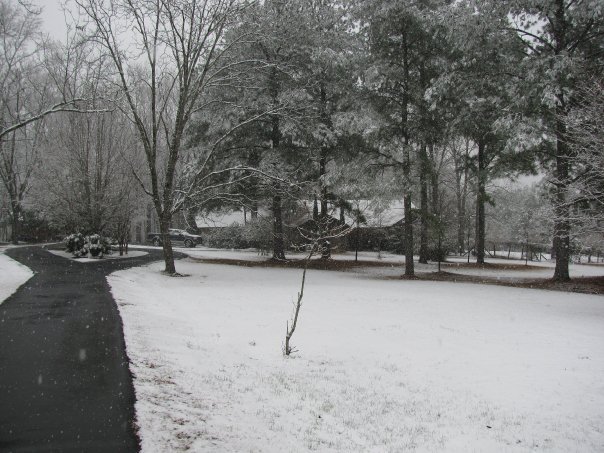 Lessie Gray's album, snow pictures