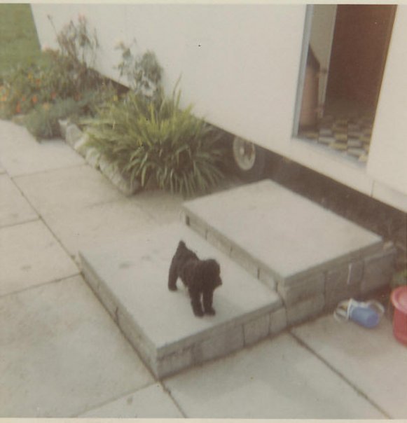 Nancy Berntsen's album, Who is this mystery girl from England?