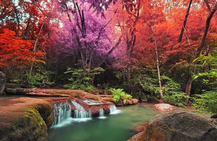 Kathy Harmon's album, Puzzled Hearts Photos