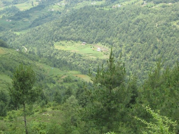 Shelley Bloom's album, Nepal Sevice Trek