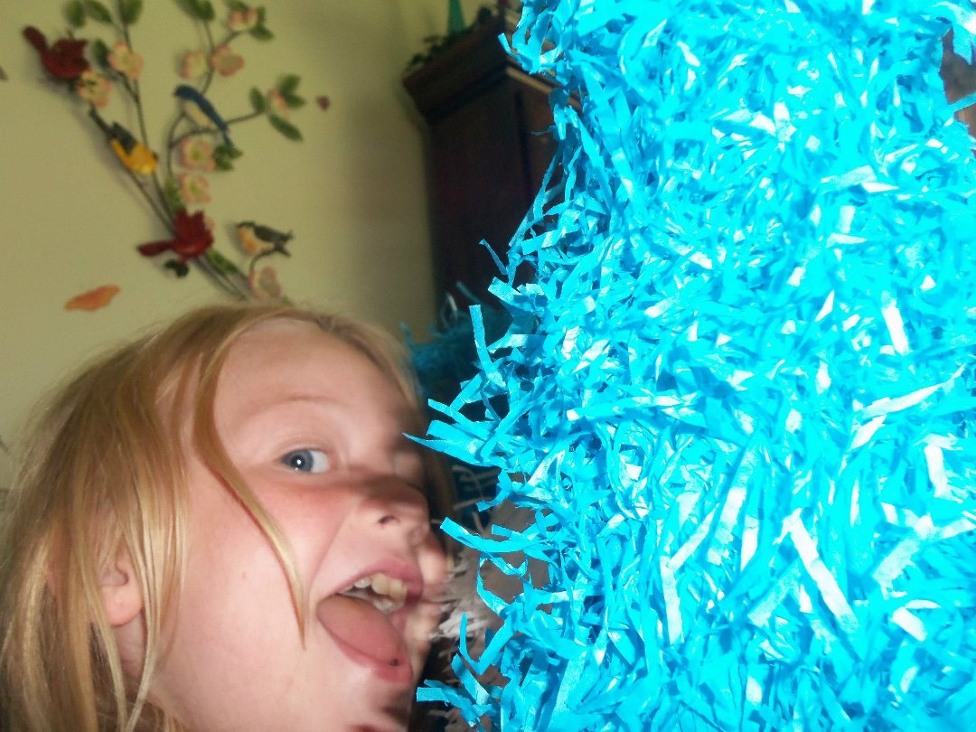 Debora Frankford's album, Untitled Album