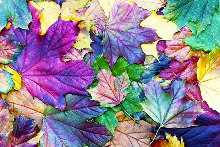 Gail Glassman's album, Puzzled Hearts Photos
