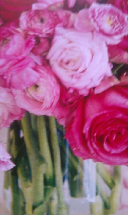 Colleen Roe's album, Mobile Uploads