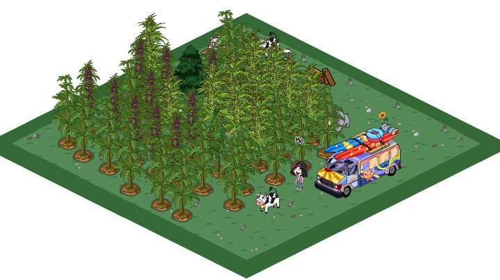 Lark Mathis' album, Pot Country Photos