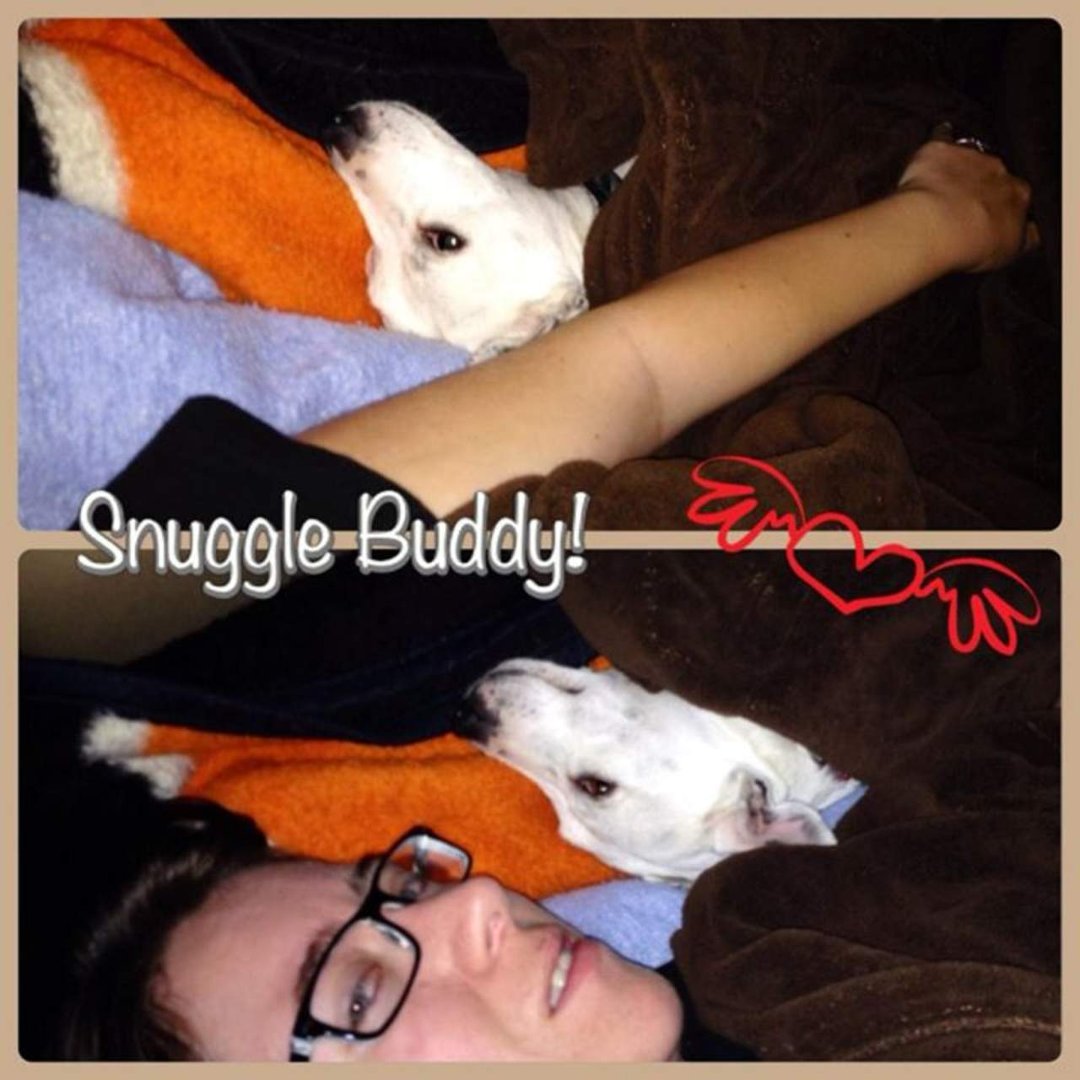 Denae Mintun's album, Mobile Uploads