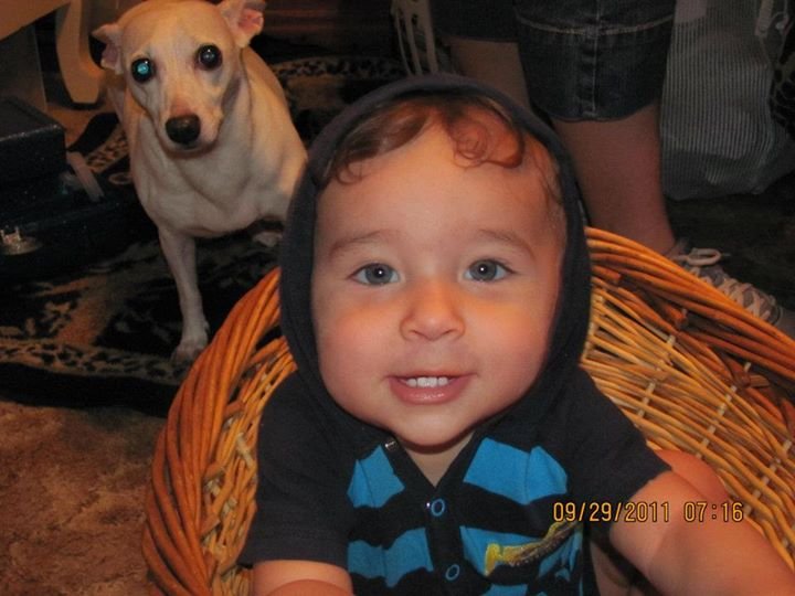 Debbie Arnold's album, family pics