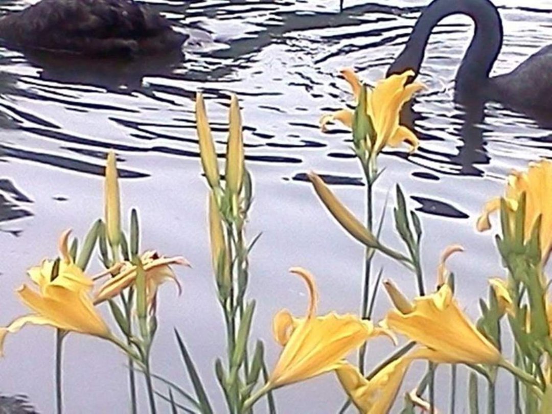 Barbara Cooper's album, WordPress.com Photos