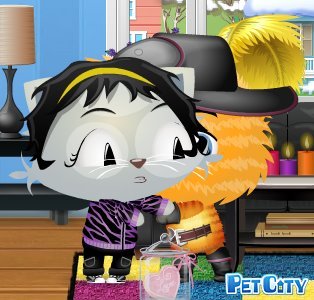 Debra Sheikh's album, Pet City Photos