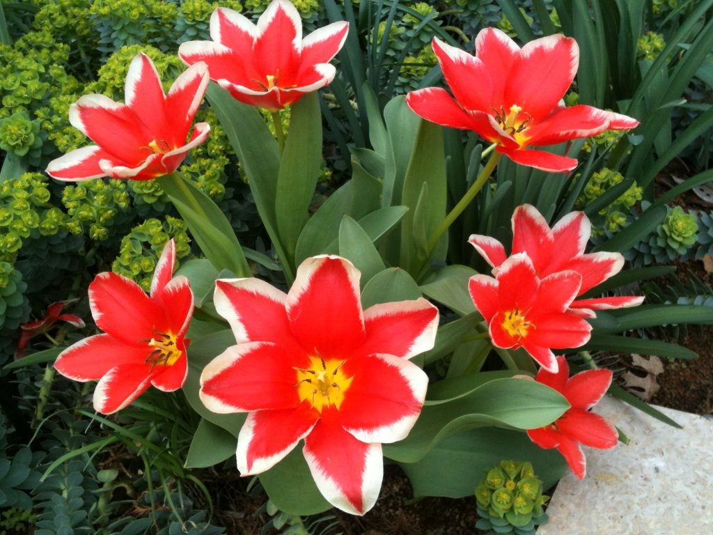 Beverly Smith's album, Mobile Uploads