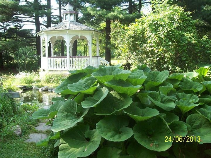 Jim Helzer's album, Cover Photos