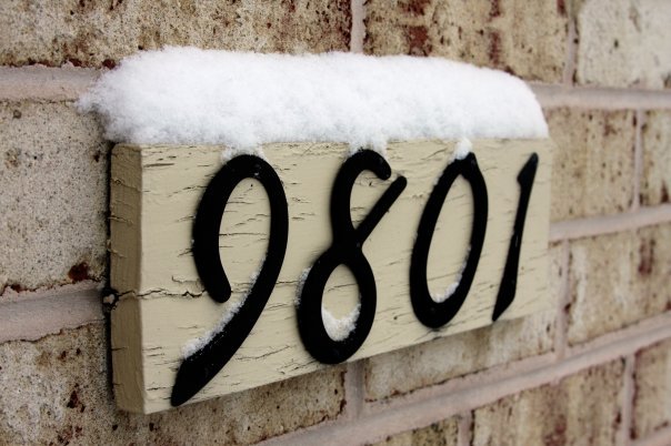 William Ralph's album, Snow in Dec. . .12/19/09