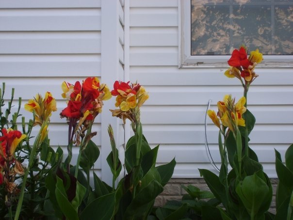 Aisha Bonner's album, My shots of Nature!