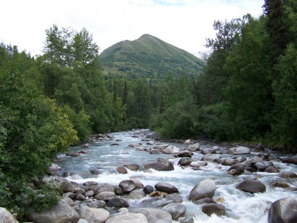 James Young's album, Alaska 2007, Mark II