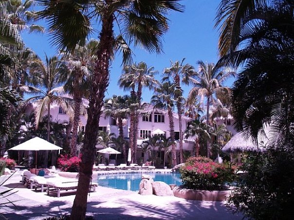 C. Allison Smyth's album, mexico