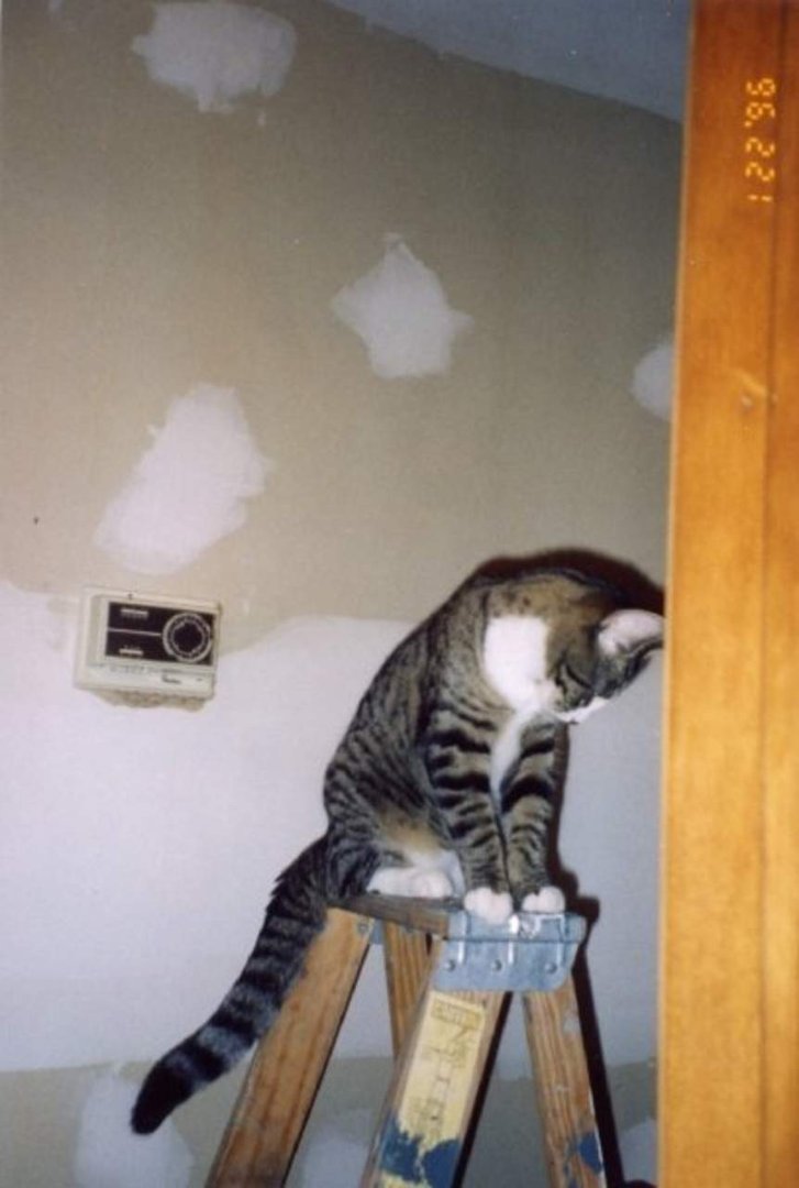 Robert Dunas' album, Molly