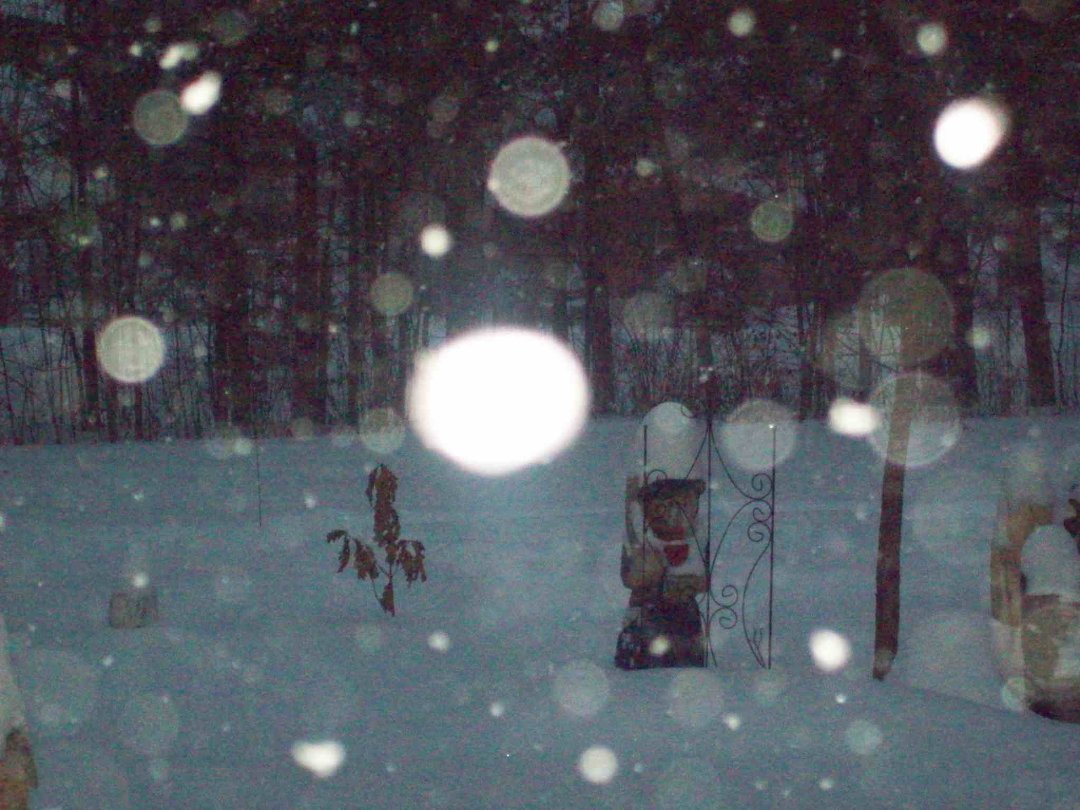 Paulette Koran's album, Winter Wonderland 12-11-10