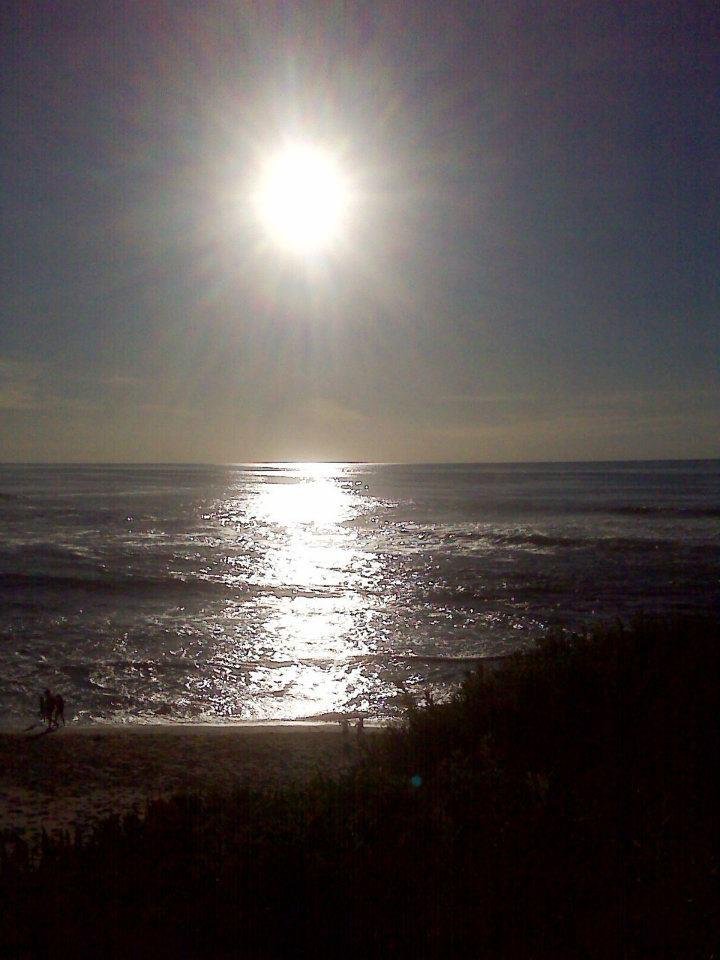 Gordon MacShane's album, Torrey Pines and La Jolla