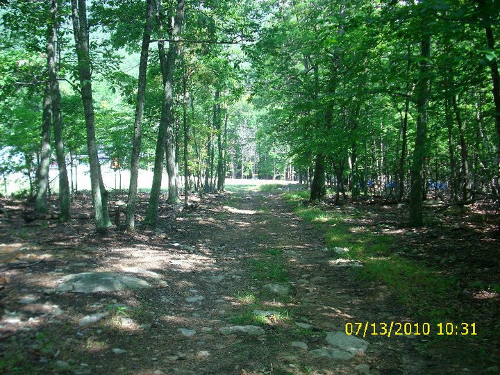 Michael Smith's album, disc golf on massanutten mt.
