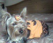 Sandy Green's album, Profile Pictures