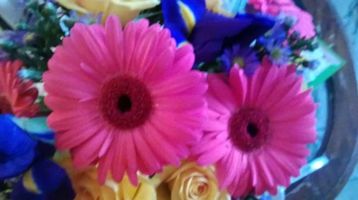 Debbie Groda's album, Mobile Uploads