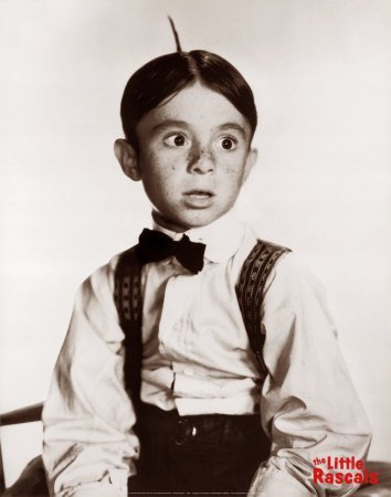 Robert Zerda's album, Profile Pictures