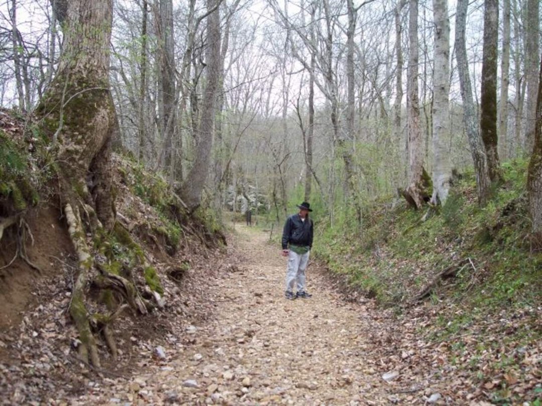 David Bullock's album, Tennessee Tourists