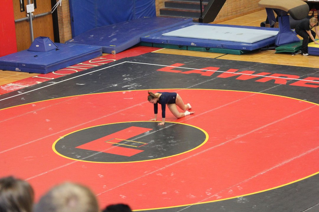 Mike Mann's album, State Gymnastics