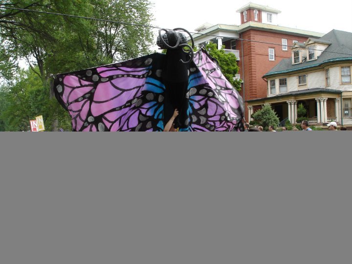 Pat Garver's album, King Wamba Carnival Parade