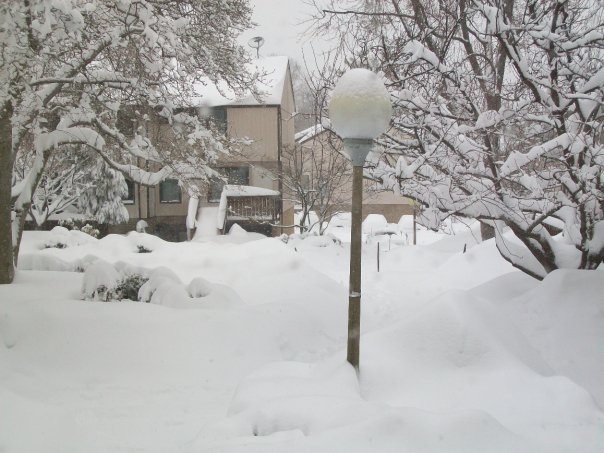 Kathy Smith's album, Snow Storm 2010