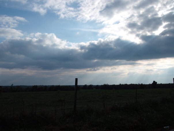 Aaron Mullin's album, Pic's