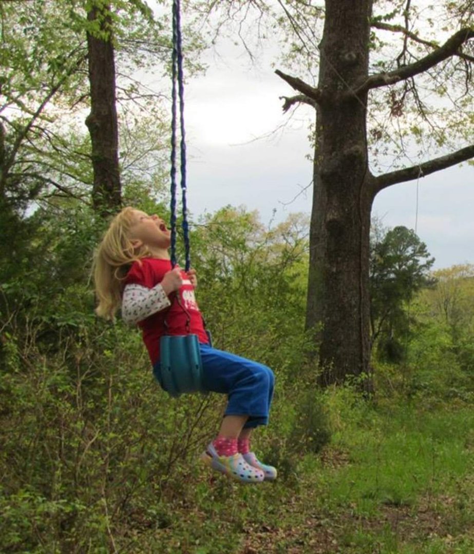 suzanne allee's album, Zip lining at Aunt Laverne's