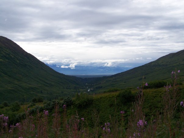 James Young's album, Alaska 2007, Mark II