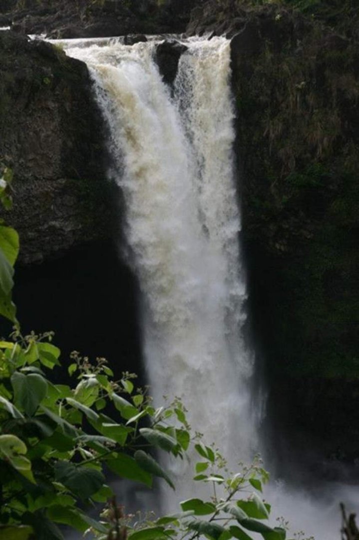 Nancy Reed's album, Big Island