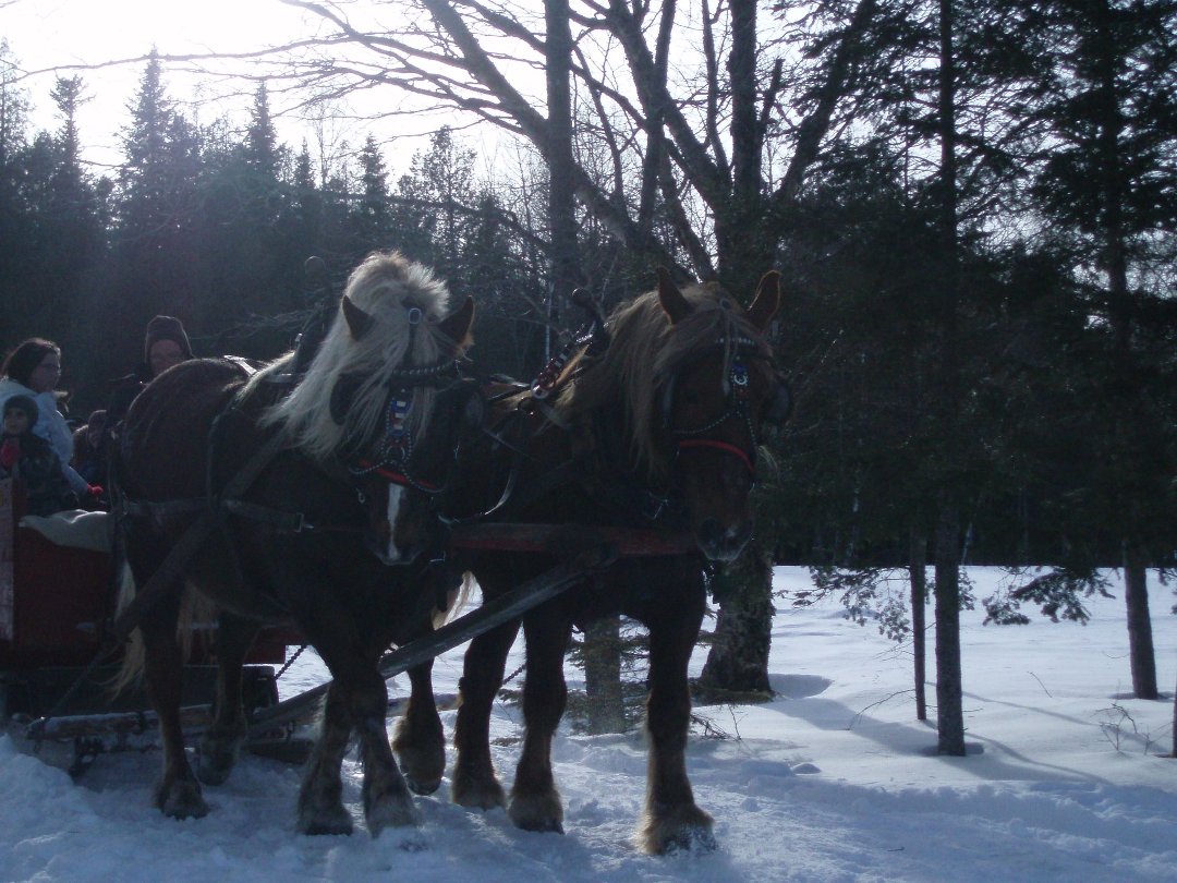 Christopher Robichaud's album, Sleighride 2013