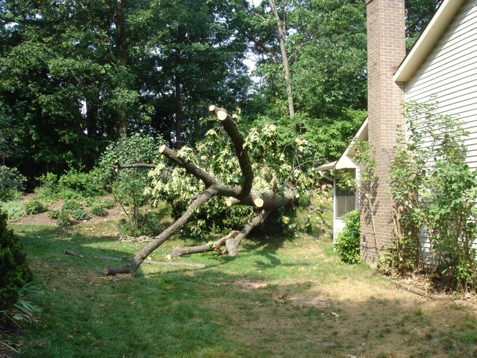 Robert Toense's album, Derecho storm of 6/29/2012