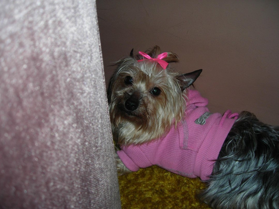 Connie Countryman's album, Sophie's 1st day home