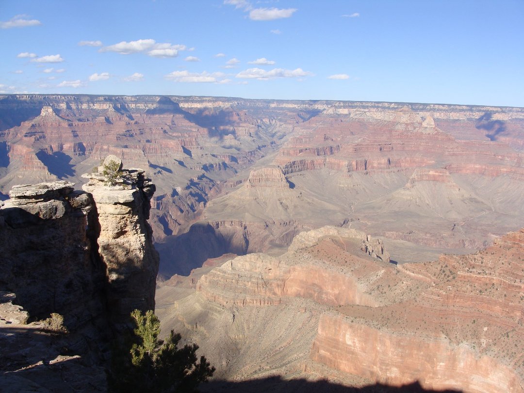 Robert Scheu's album, Cover Photos